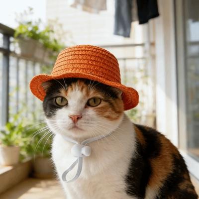 Verstellbarer Haustier-Strohhut Atmungsaktiver Haustier-Sonnenschutzhut Katzen-Sonnenhut Sonnenschutz für den Außenbereich