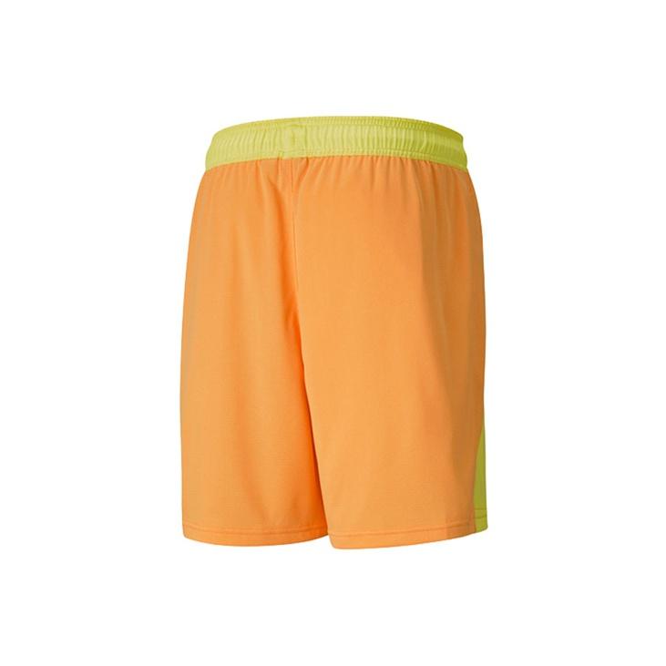 Puma Basketball Series Mesh Color Block Printed Sports Shorts Men Shorts Coral-Red 530491-03