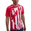 Nike Academy Pro Dri-FIT Atletico Madrid Home Quick-Dry Slim Fit Comfortable Short Sleeve Football Shirt Men Tops HJ7136-614