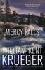 Kniha Mercy Falls : A Novel : 5