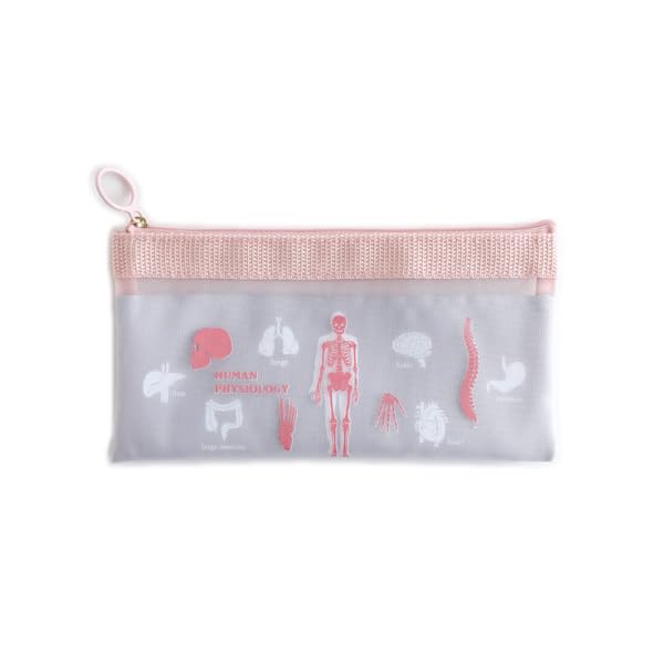 

Pen Case Green Flash STUDY HOLIC Mesh Pen Pouch Human Biology [Green Flash]