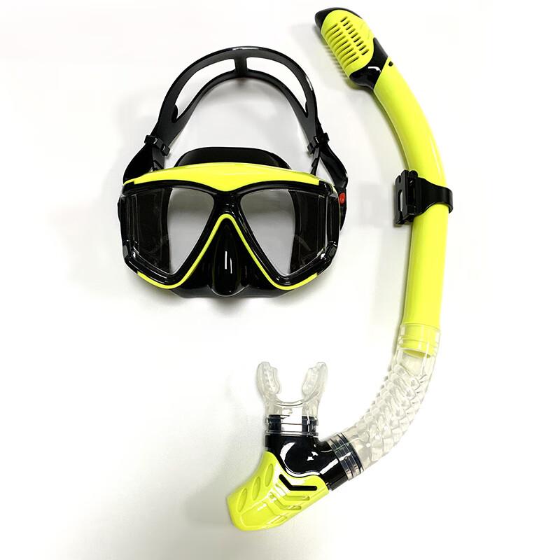WEZHO Adult Snorkeling & Diving Mask with Myopia Lens Compatibility