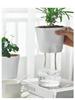 Transparent Plastic Self Watering Plant Pots Lazy Hydroponic Water Absorbing Flower Pot For Succulent Plant Flowerpot Garden