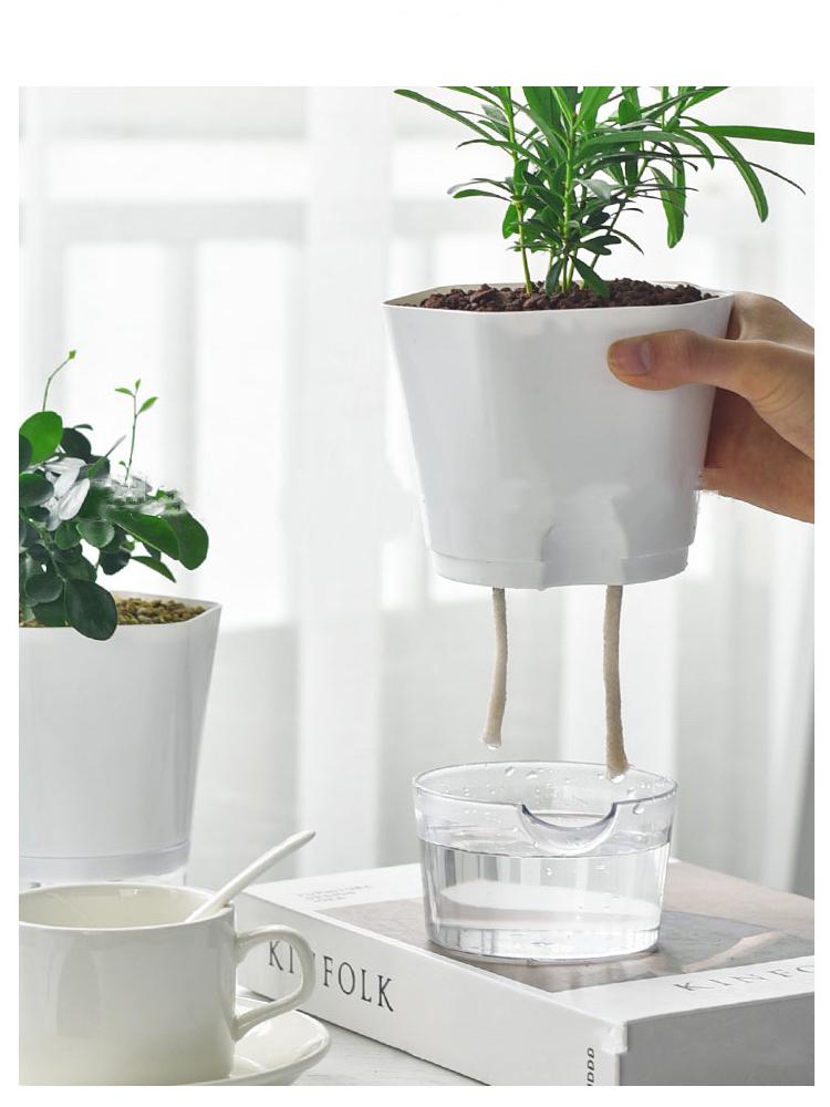 Transparent Plastic Self Watering Plant Pots Lazy Hydroponic Water Absorbing Flower Pot For Succulent Plant Flowerpot Garden