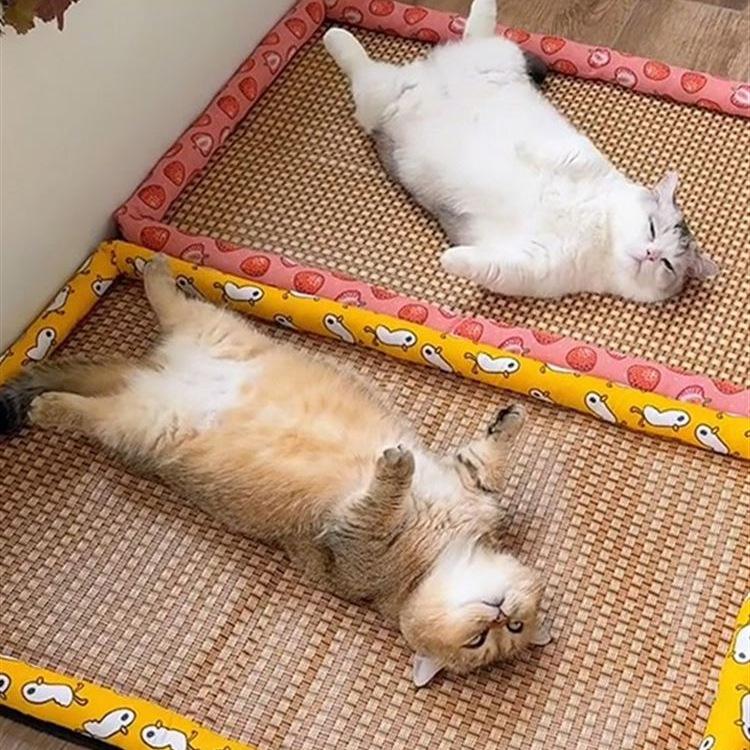 Rattan Cat Bed with Cooling Ice Pad - Four Seasons Universal Cat Nest