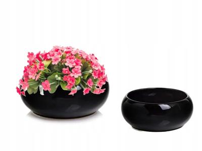 Pot de Fleurs Céramique Bol Décoratif