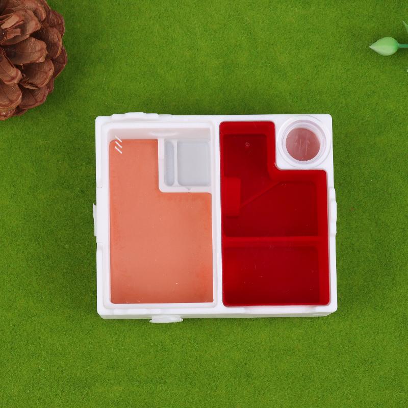 

Плоская муравьиная ферма с гнездом муравьиной матки, муравейник, дом, гнездо, коробка для наблюдения за муравьями для начинающих муравьеводов, мелкие виды муравьев