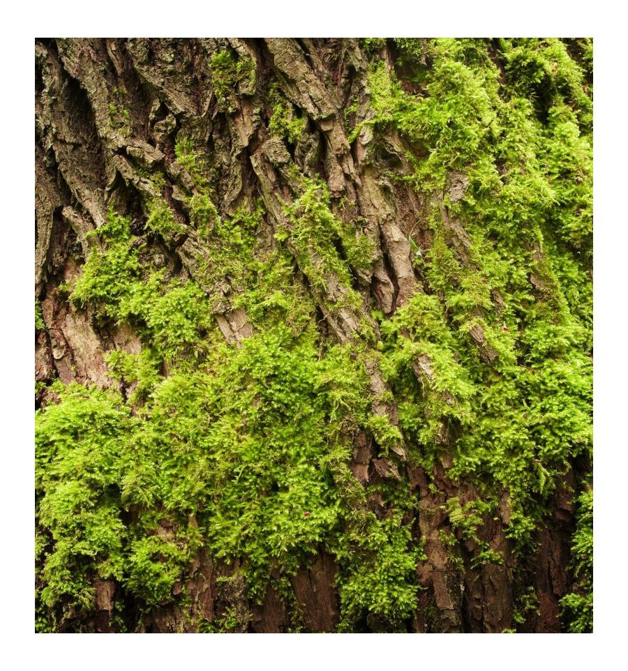 Yodeyma Agua Fresca Perfumed Water for Men 100ml