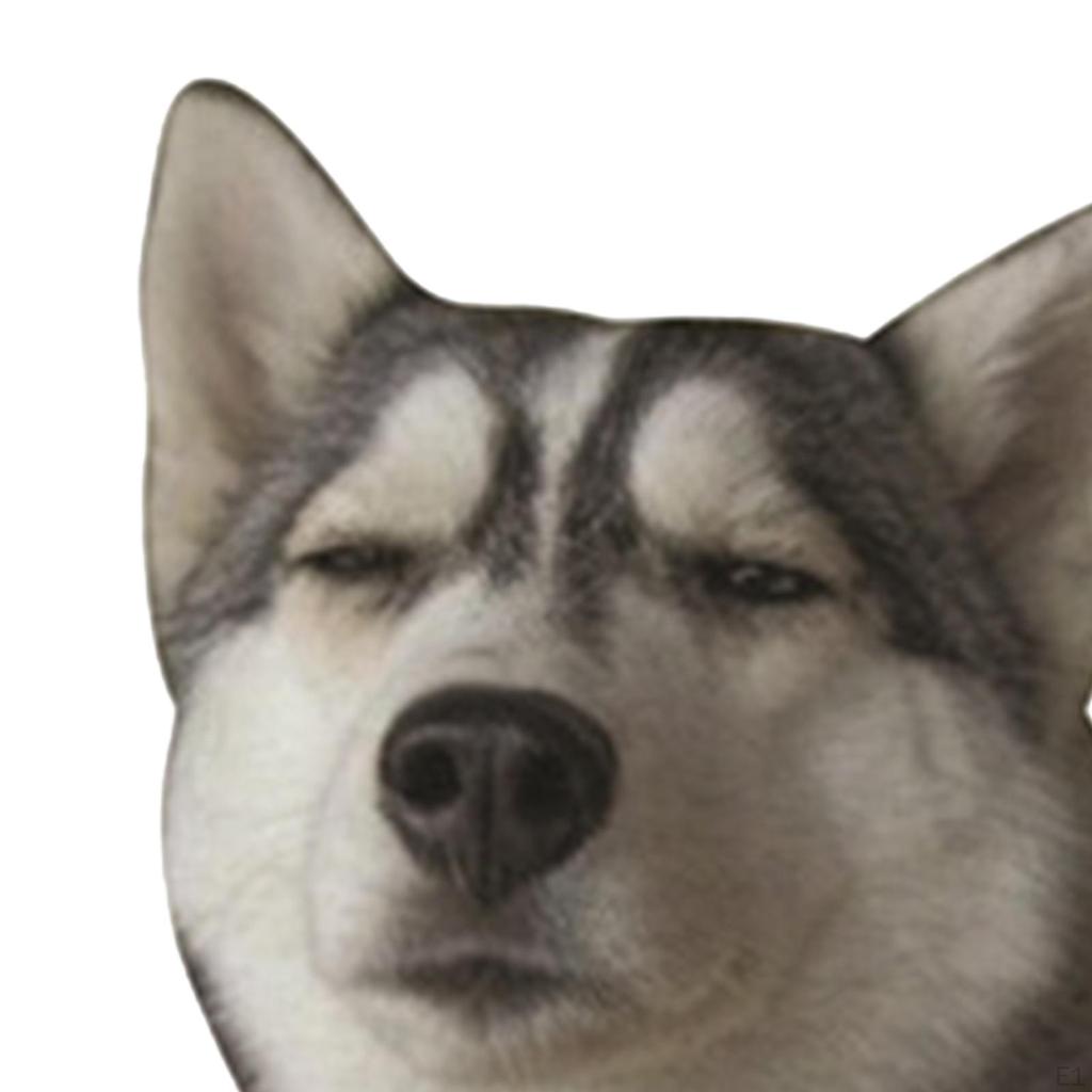 Autoaufkleber, Decals Wasserdicht Husky Hund für Boot Kratzaufkleber