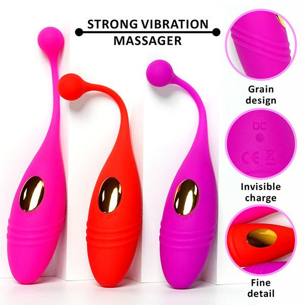 Vagina Clitoris Vibrator Panties Vibrating Egg Wearable Dildo Sex Toy Massage with Wireless Remote Control for Adults Women Men