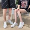 2025 Couple Canvas Shoes High-quality Spring Breathable 4CM Increased Men's Casual Shoes Female Chunky Lace-up Vulcanized Shoes