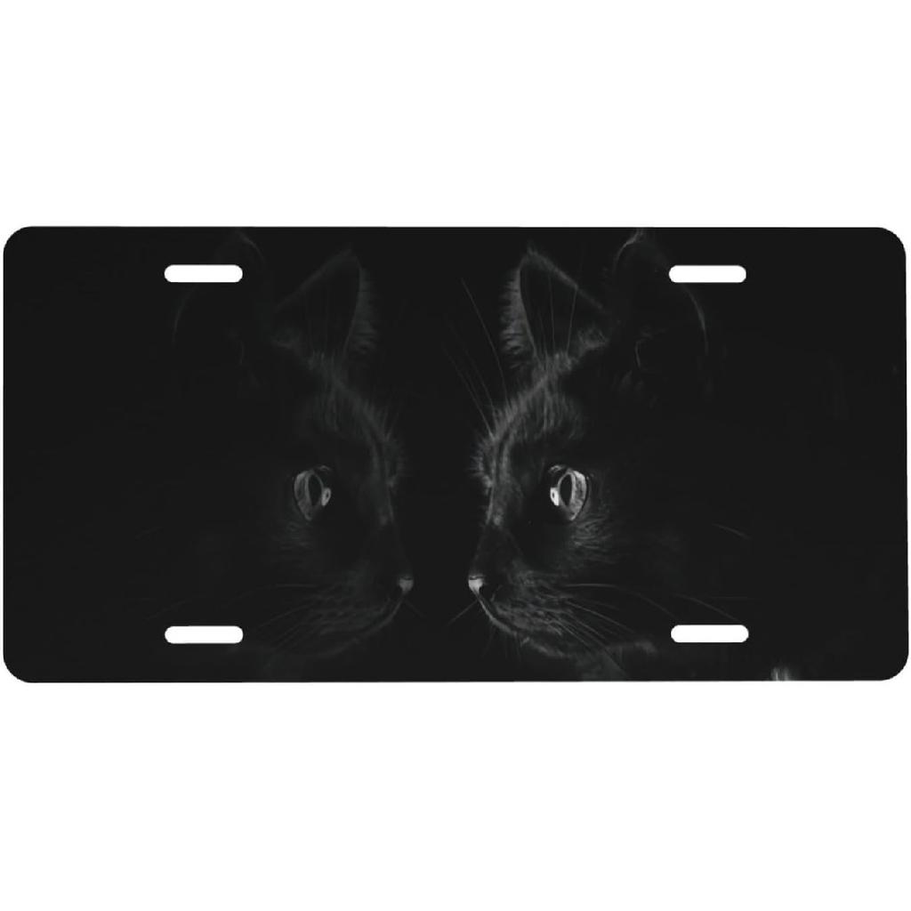 Front License Plate Cover – Aluminum Metal Car Accessory, Rust-Proof Novelty Vanity Tag Decor for Men & Women, 6x12 with 4 Holes - 047 Vintage