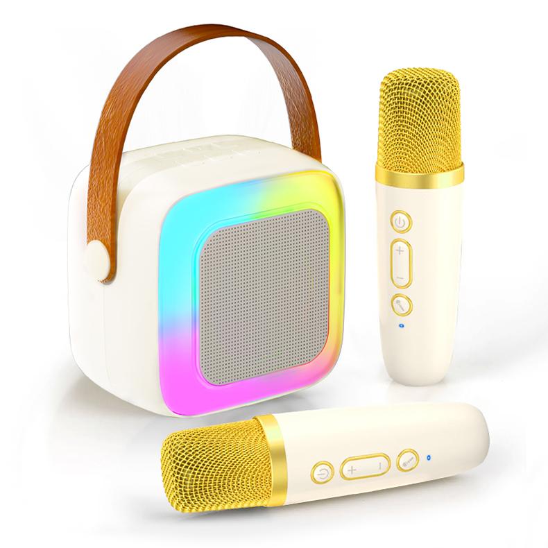 New Home Karaoke Machine Portable Bluetooth 5.3 PA Powerful Bass Speaker System with 2 Wireless Microphones Home Family Singing