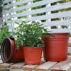 50/20Pcs Plastic Flowerpots Simple Nursery Seedling Pot Flowers Seed Breeding Planters Container Box Garden Supplies Tool