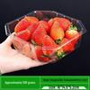 Dairuien Disposable PET Fruit & Vegetable Trays