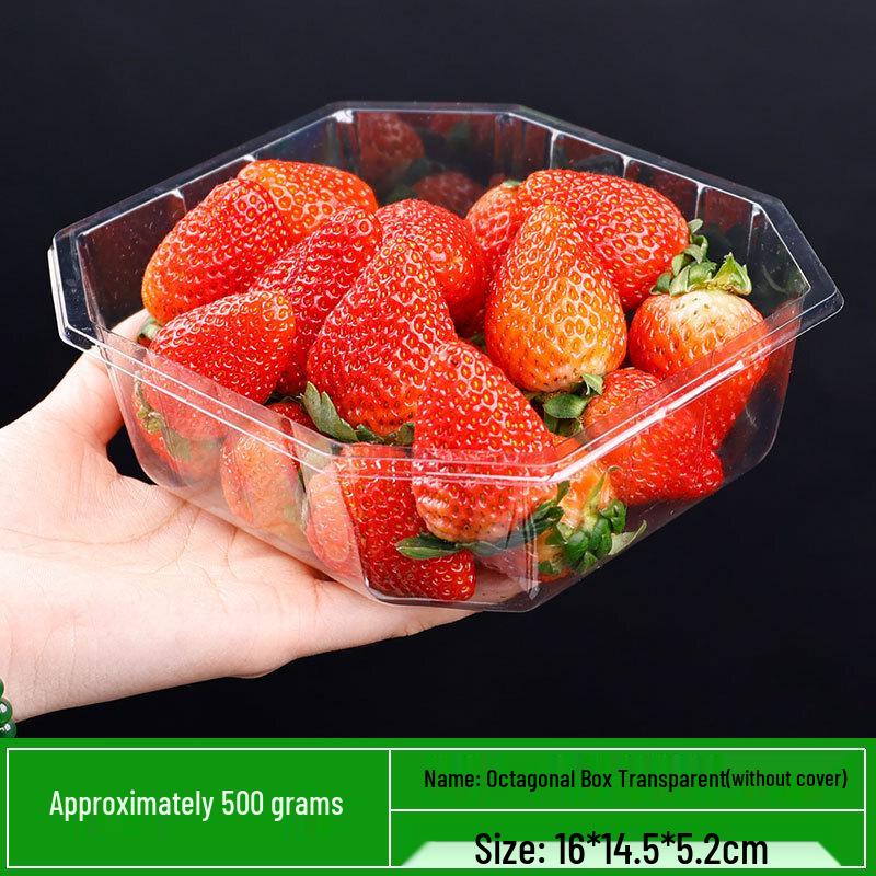 Dairuien Disposable PET Fruit & Vegetable Trays 100 Count