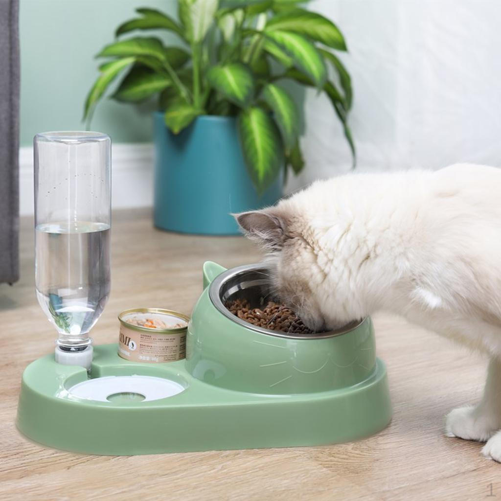 Automatic Cat Water Dispenser and Food Bowl Set Tilted Raised Feeding Bowls