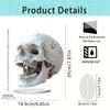 Acrylic Ornament Durable Acrylic Decoration Skull Acrylic Sign for Cabinet Mantel Decor Elegant Bedroom Design for Halloween