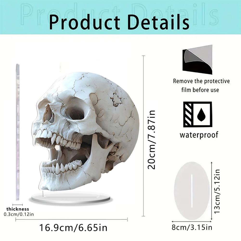 Acrylic Ornament Durable Acrylic Decoration Skull Acrylic Sign for Cabinet Mantel Decor Elegant Bedroom Design for Halloween