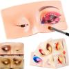 Eyelids The Perfect Aid Makeup Training Board To Practicing Makeup Practicing Makeup Face Board