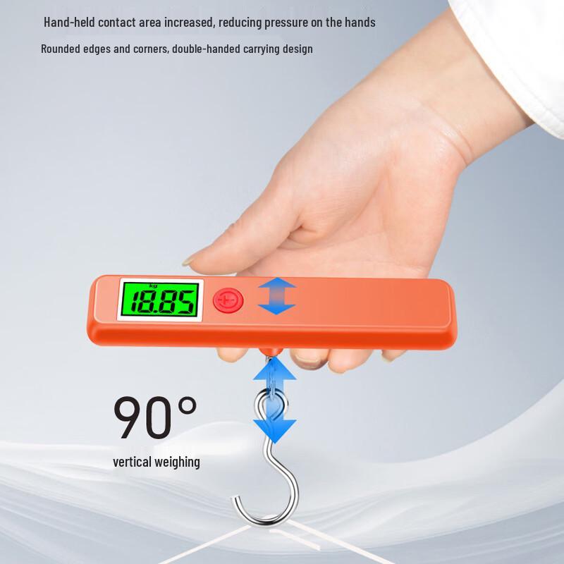 Portable Digital Hanging Scale