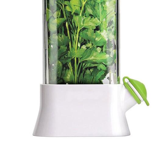 Refrigerator Herb Storage Box Upright Cilantro Storage Container Parsley Preservation Box Keeps