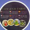 Board Game Card,Past Life for Oracle Card,Divination Fortune Telling Game Card