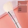 Bailan Makeup Brush Set: IT Series Blush, Blending, Eyeshadow & Foundation Brushes