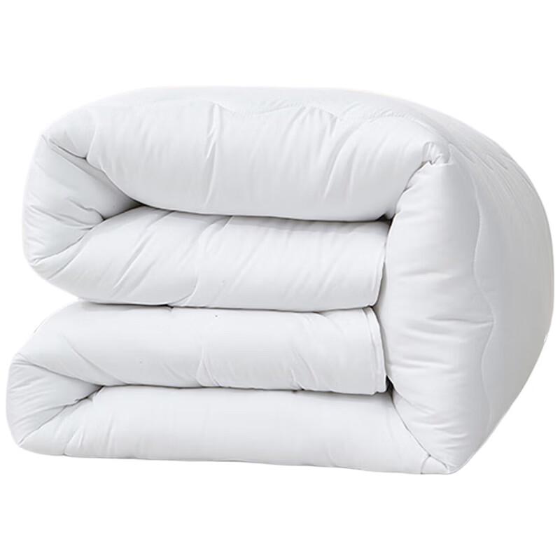 LOVO Luxurious Warm Core All-Season Quilt