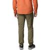 Columbia Skien Valley Cargo Pant, Mens green Trousers