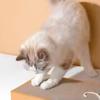 Pet Cat Scratching Board Cardboard Mat Scraper Grinding Claw Toys for Scratcher Cat Furniture Protector Accesorios