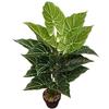 Areca Palm Artificial Potted Plant - Indoor Large Floor Decoration Fake Tree