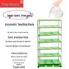 Feng Hou Ling Automatic Hydroponic Seedling Rack for Soilless Vegetable Cultivation