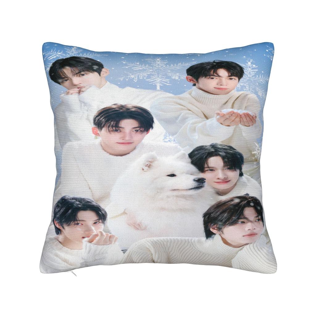 TWS Boy Group Pillow Case Design Pillow Cover For Living Room Chair Kawaii Pillowcases