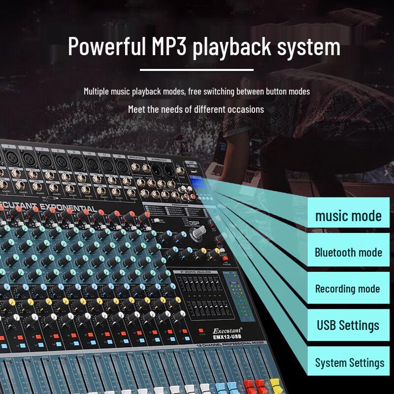 HuiDu EMP-12P 12-Channel Professional Audio Mixer with Integrated Power Amplifier (CN Version)