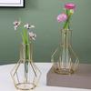 Nordic Simple Glass Clear Vase with Iron Art Frame for Hydroponic Planter Transparent Test Tube Pot Decorative Metal Flower Vase for Table