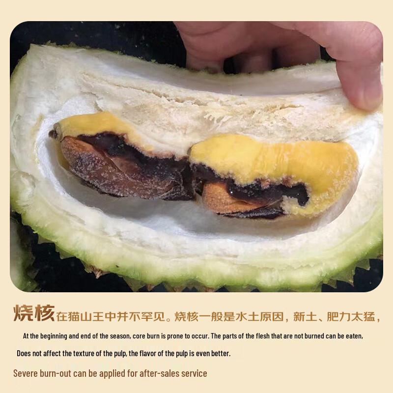 Najwyższej jakości malezyjski durian mrożony ciekłym azotem - Musang King & Black Thorn
