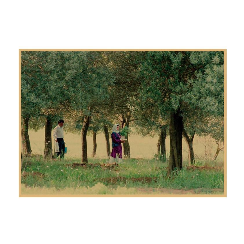 

Under the Olive Tree Lovers Retro Movie Poster Wall Art 638 29.7X42cm (A3 size)