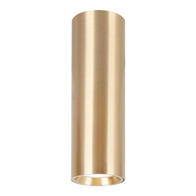 GENESIS SPOT GOLD 1XGU10 20CM