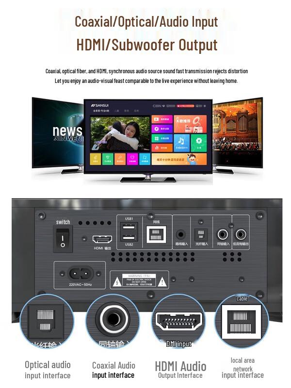 Shanshui P200 Home KTV Audio System