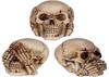 Decorative Object - PUCKATOR - SK287 - Set of 3 Skulls - Multicoloured - Resin - 6x4x5.5 Cm