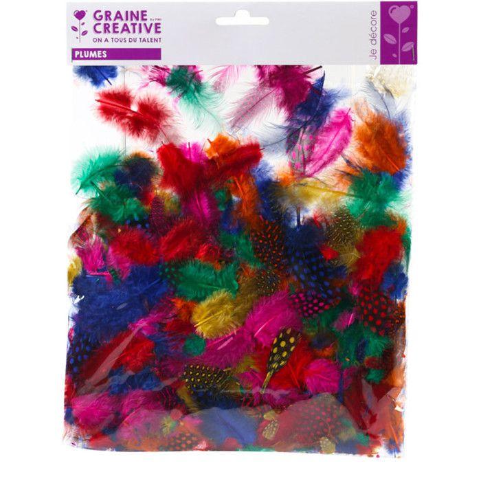 Plumes de pintade de couleur - 10 gr de plumes