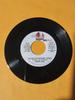 7inch Record TERRO 3000  The Ballaz Present Terro NONE Dem Yute Deh Mu 2005 Jamaica Reggae Ska  Dub Used