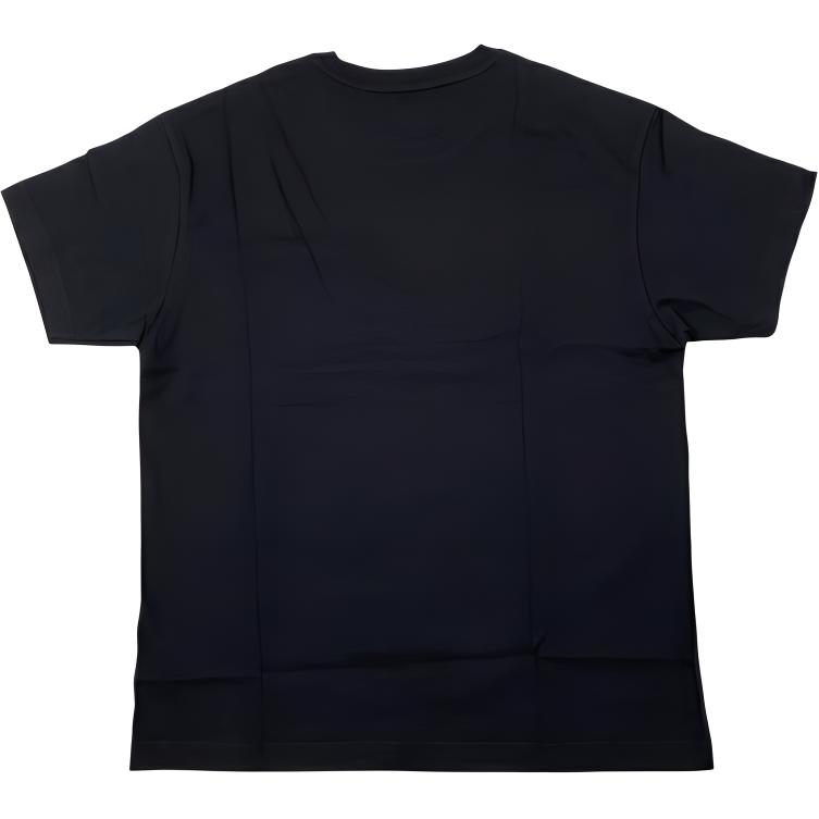 Li-Ning Comfortable Breathable Casual Short Sleeve T-Shirt Men Tops Standard-Black AHSQ323-2