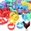 100pcs Plastic Poultry Leg Tags Portable Band Foot Ring Bird Leg Sign Rings  Pigeon Supplies