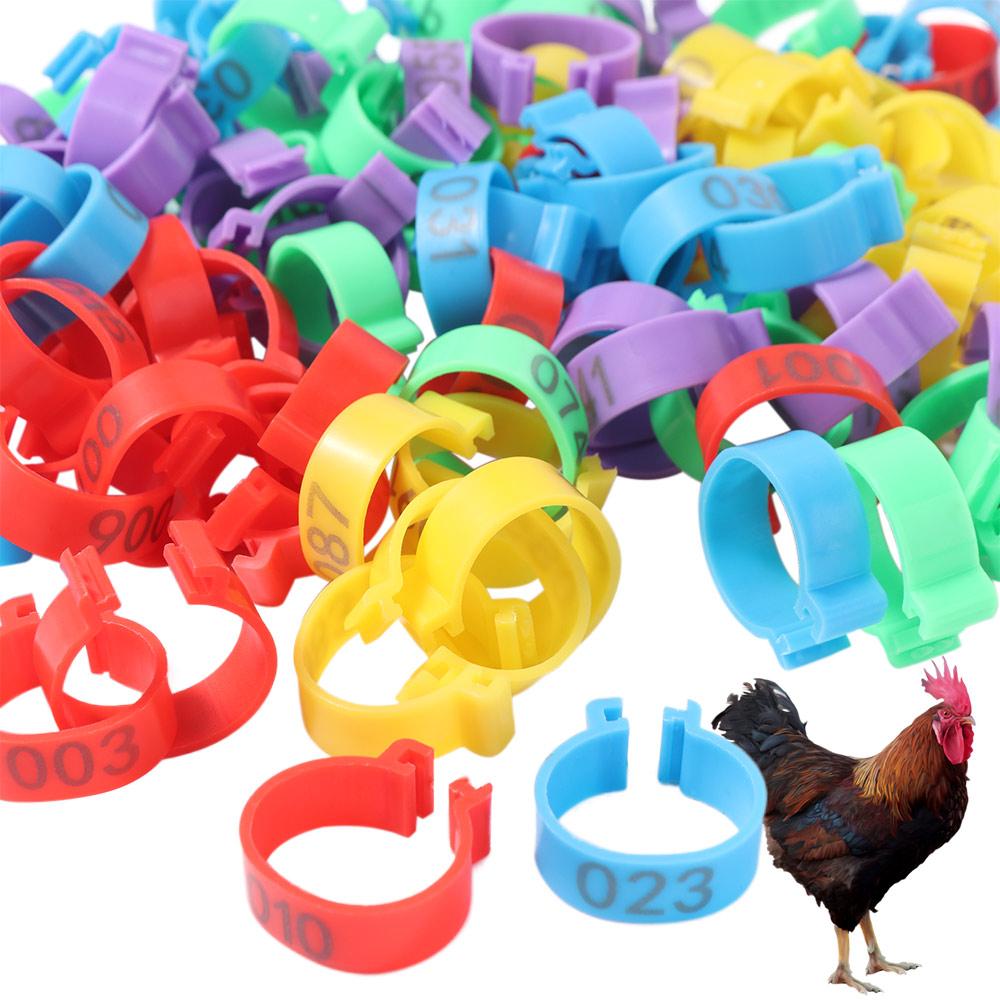 100pcs Plastic Poultry Leg Tags Portable Band Foot Ring Bird Leg Sign Rings  Pigeon Supplies
