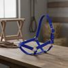Adjustable Horse Halter Metal Strapping PP Headstall for Equestrians, Stable,