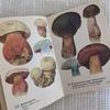[USED] 1972 Czech Mushroom Encyclopedia, Foreign Book, Antique Book