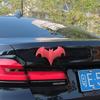 3D Stereo Bat Sticker Antenna Car Roof Self-Adhesive Auto Decoration Ornaments Car Accessories For Truck SUV Motorcycle Helmet