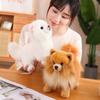 Standing Simulation Pomeranian Dog Real Life Stuffed Puppy Doll Pomeranian Plush Toy  Birthday Gift